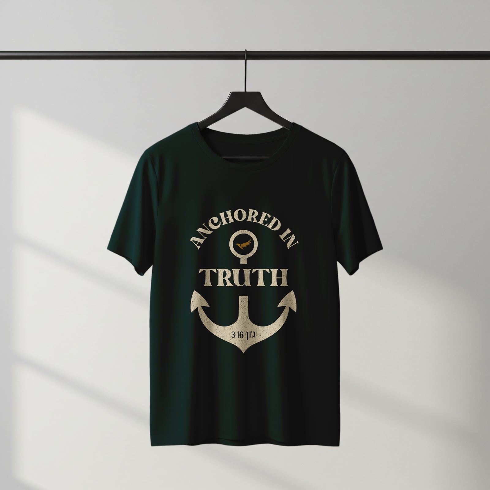 Anchored In Truth Premium Drop Shoulder T-Shirt