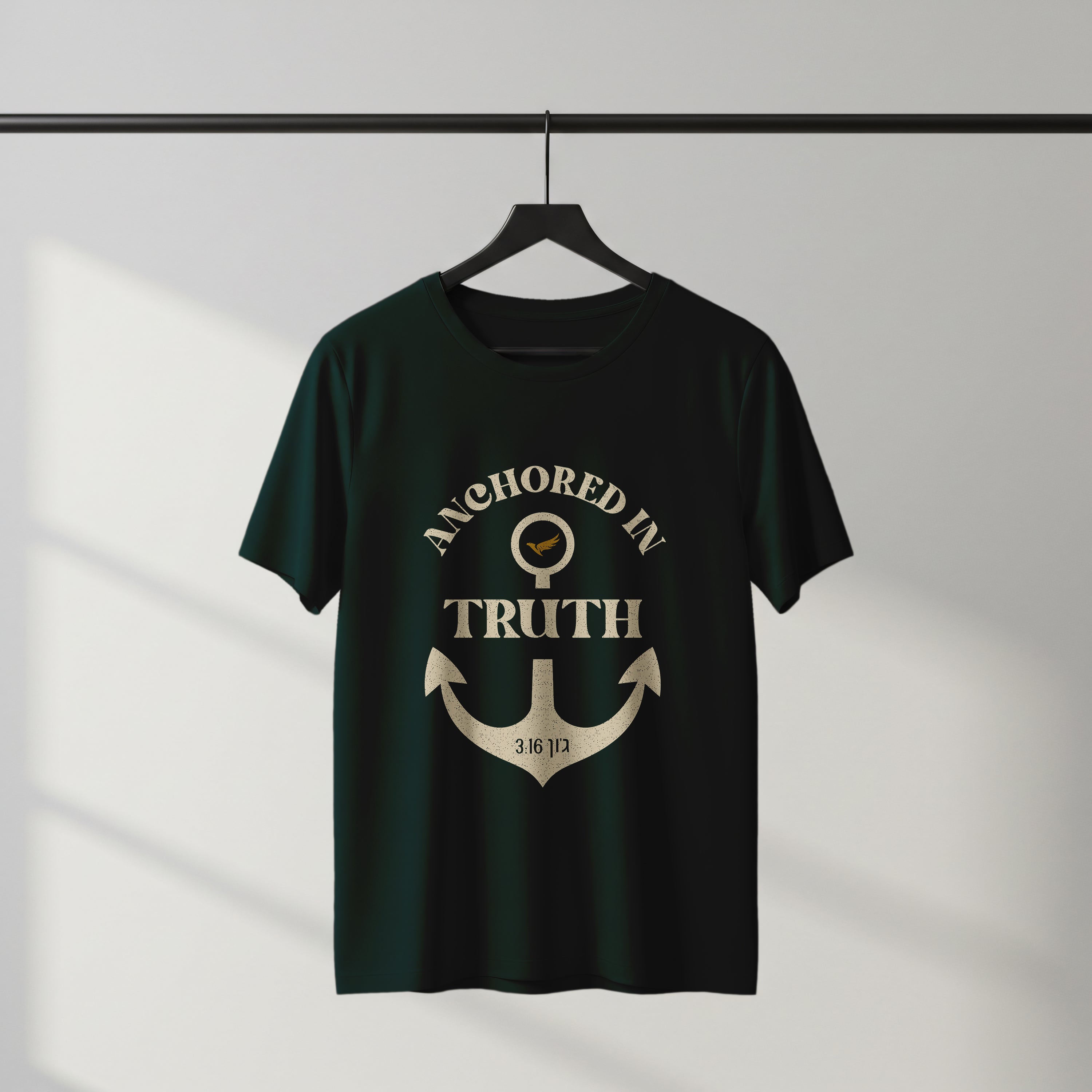 Anchored In Truth Premium Drop Shoulder T-Shirt